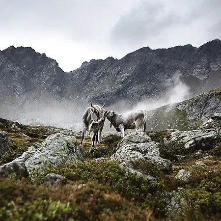 Oberschupferhof Außervillgraten